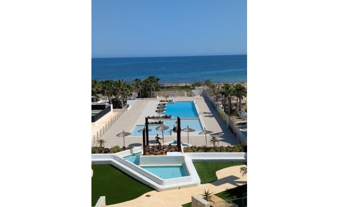 New Build · Apartment / Flat · Denia