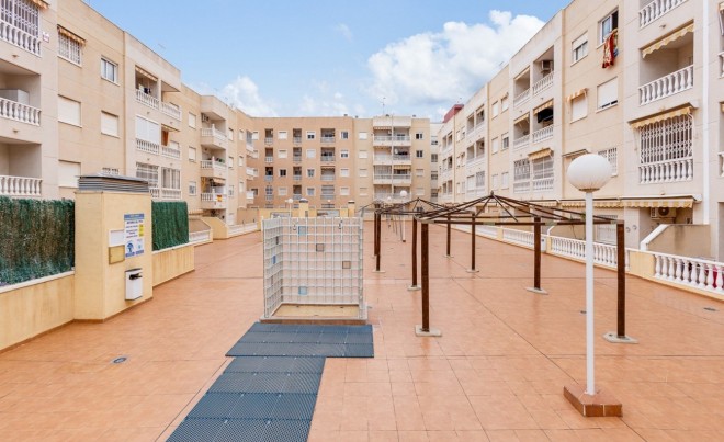 Venta · Apartamento / Piso · Torrevieja