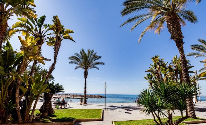 Venta · Apartamento / Piso · Torrevieja