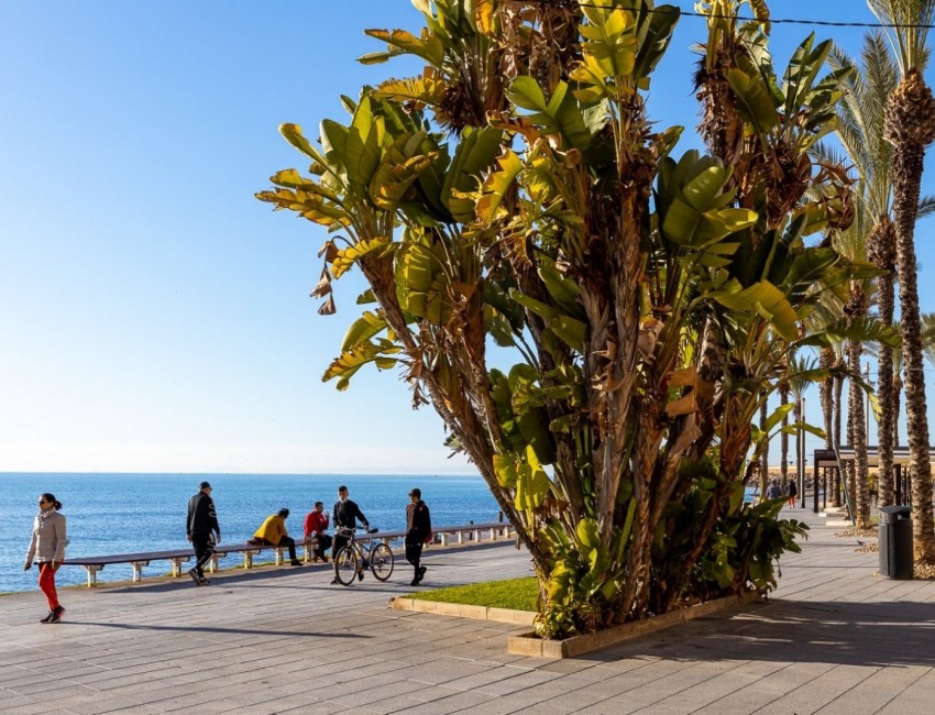 Venta · Apartamento / Piso · Torrevieja