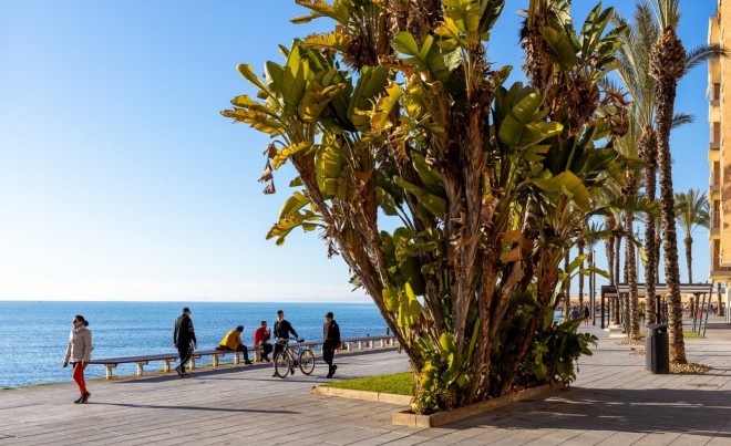 Venta · Apartamento / Piso · Torrevieja