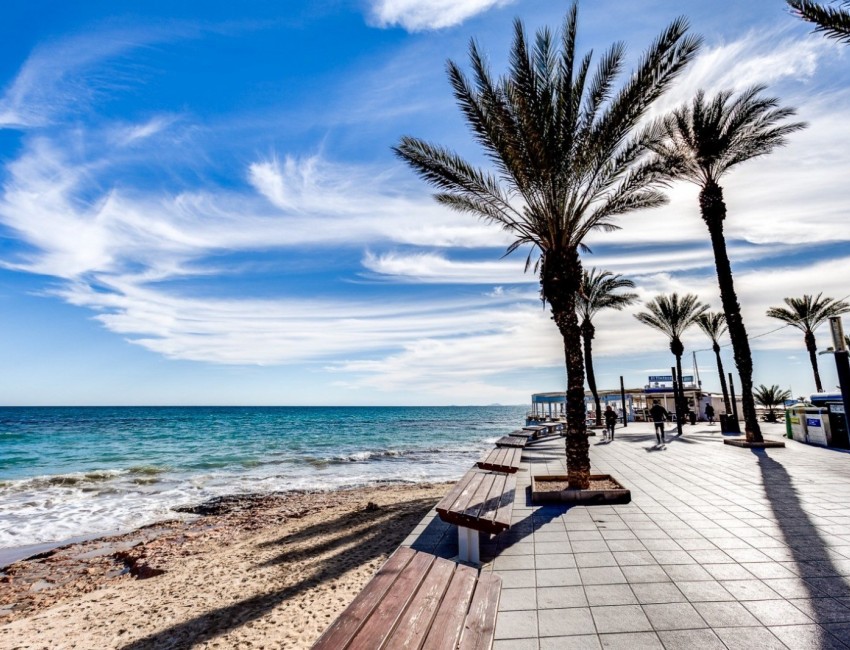 Venta · Apartamento / Piso · Torrevieja