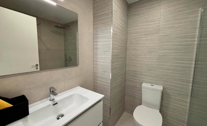 New Build · Penthouse · San Miguel de Salinas