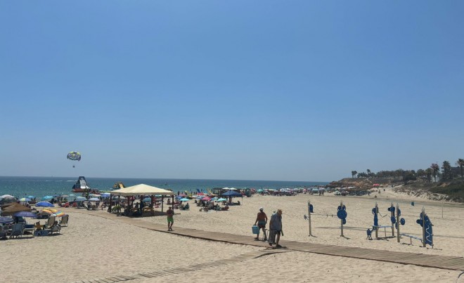 New Build · Apartment / Flat · Pilar de la Horadada · Mil Palmeras