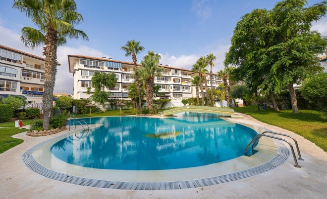 Venta · Apartamento / Piso · Torrevieja