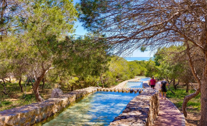 Venta · Apartamento / Piso · Torrevieja