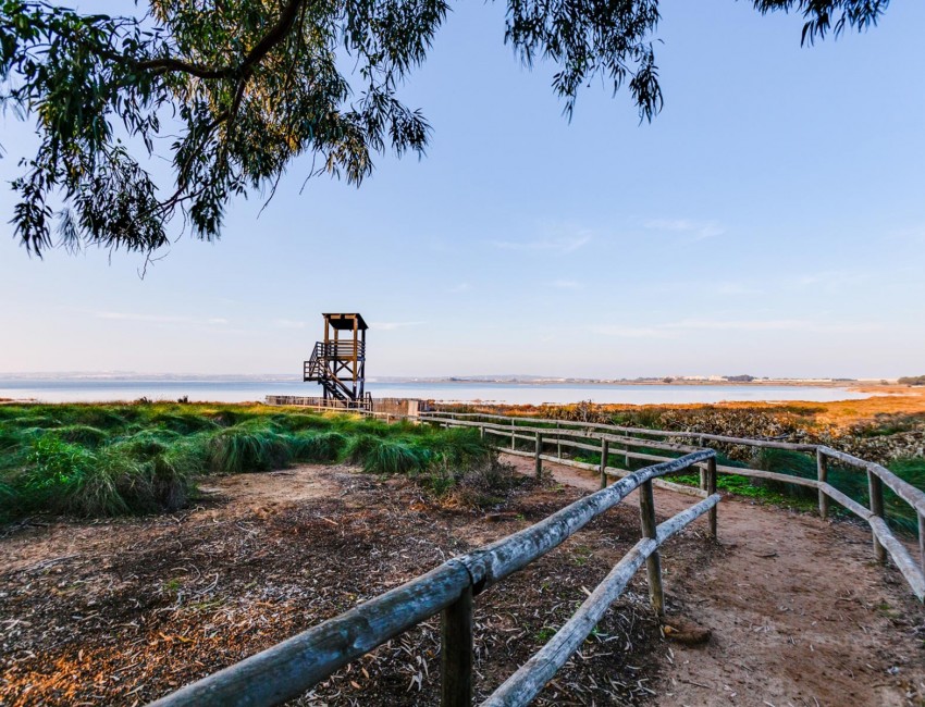 Venta · Apartamento / Piso · Torrevieja