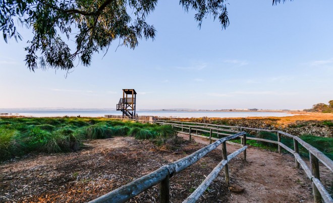 Venta · Apartamento / Piso · Torrevieja