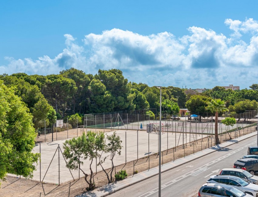 New Build · Villa · Pilar de la Horadada · Mil Palmeras