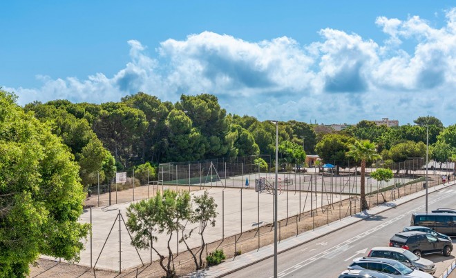 New Build · Villa · Pilar de la Horadada · Mil Palmeras