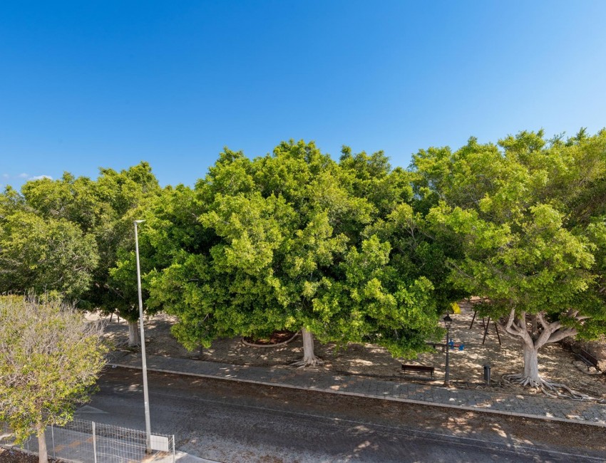 New Build · Villa · Pilar de la Horadada · Mil Palmeras