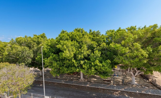 New Build · Villa · Pilar de la Horadada · Mil Palmeras