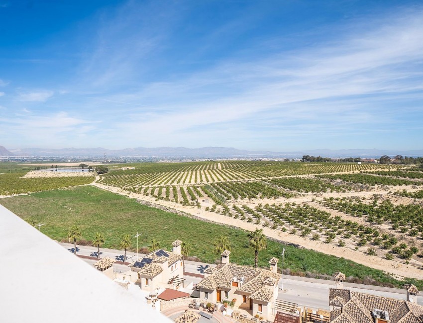 Nueva construcción  · Villa / Chalet · Algorfa · La Finca