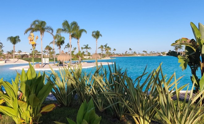 Nouvelle construction · Villa · Torre Pacheco · Santa Rosalía