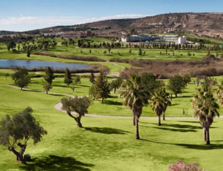 Nouvelle construction · Villa · Algorfa · La Finca