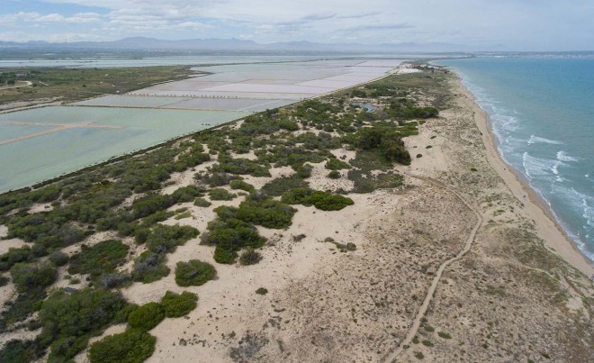 Nouvelle construction · Penthouse · La Marina · El Pinet