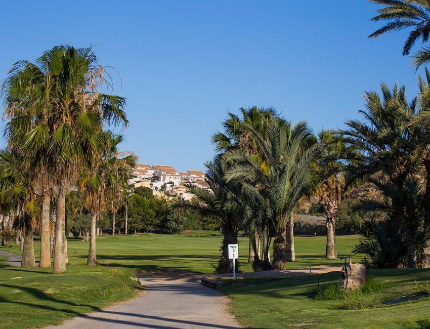 Nouvelle construction · Penthouse · La Marina · El Pinet