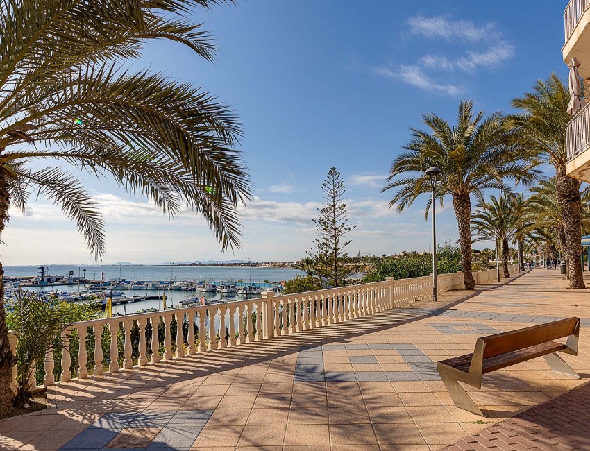 Nouvelle construction · Bungalow / Maison de Ville · Pilar de la Horadada