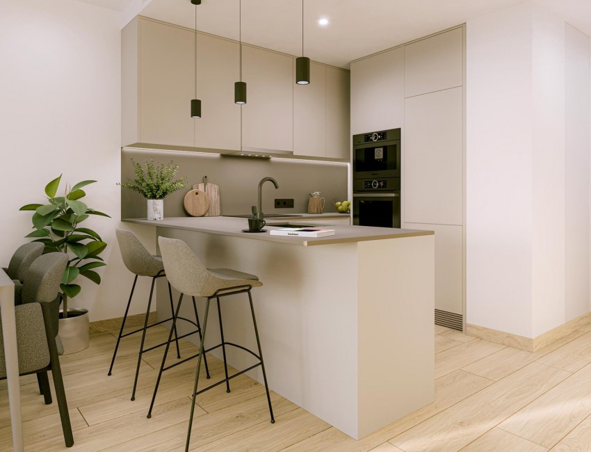 Nouvelle construction · Penthouse · Torrevieja