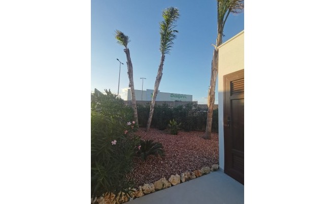 Nouvelle construction · Villa · Los Montesinos · La Herrada