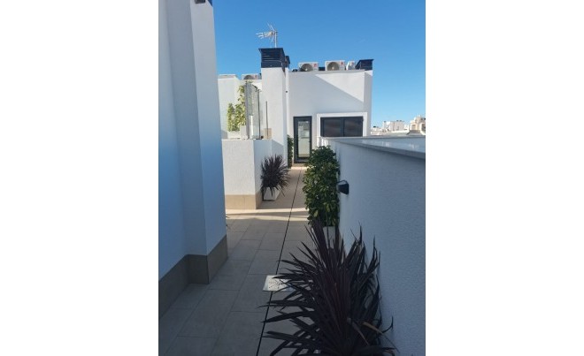 New Build · Apartment / Flat · Torrevieja