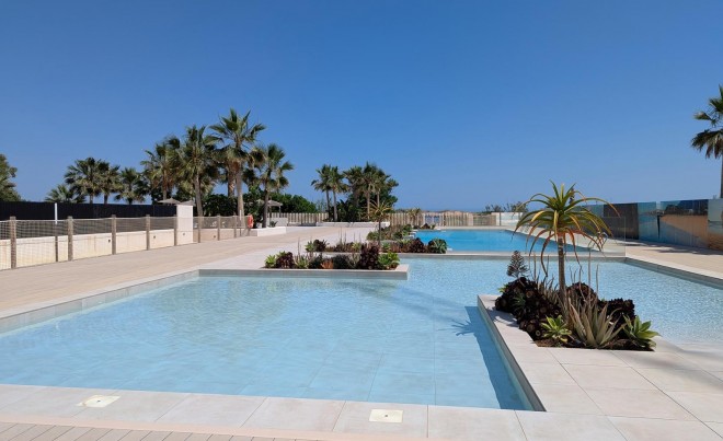 New Build · Apartment / Flat · Denia