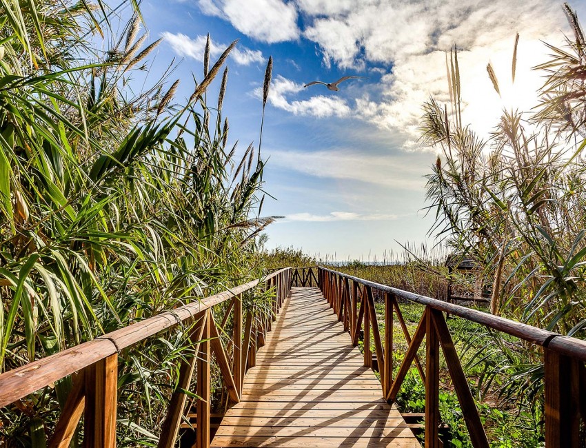 New Build · Apartment / Flat · Guardamar del Segura