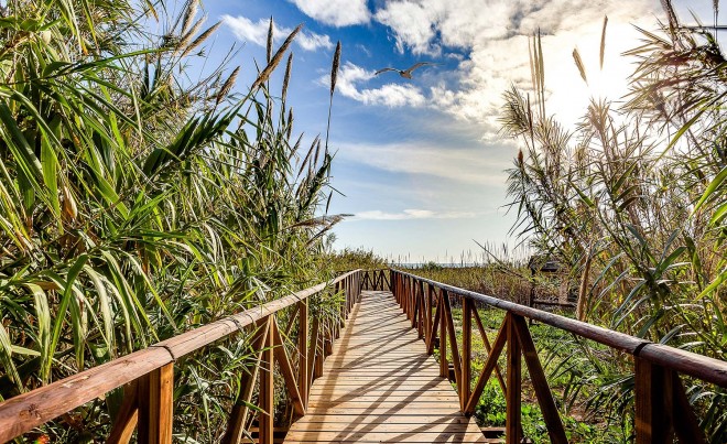 Nueva construcción  · Ático · Guardamar del Segura