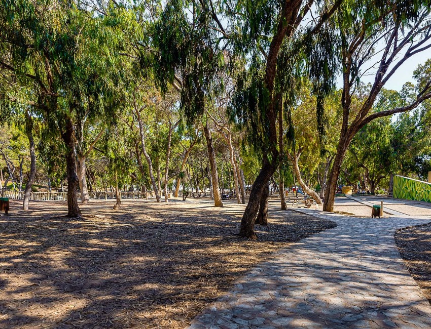 Nueva construcción  · Ático · Guardamar del Segura