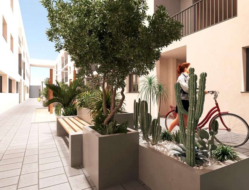 New Build · Penthouse · San Miguel de Salinas