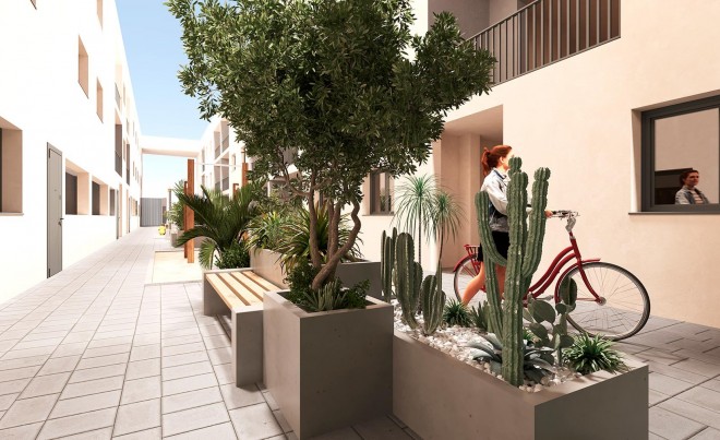 New Build · Penthouse · San Miguel de Salinas