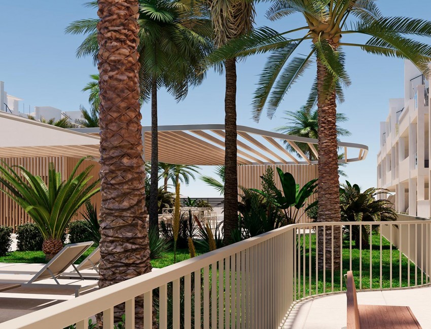 Nouvelle construction · Appartement · San Cayetano