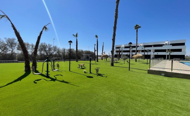 Nouvelle construction · Appartement · Guardamar del Segura · El Raso