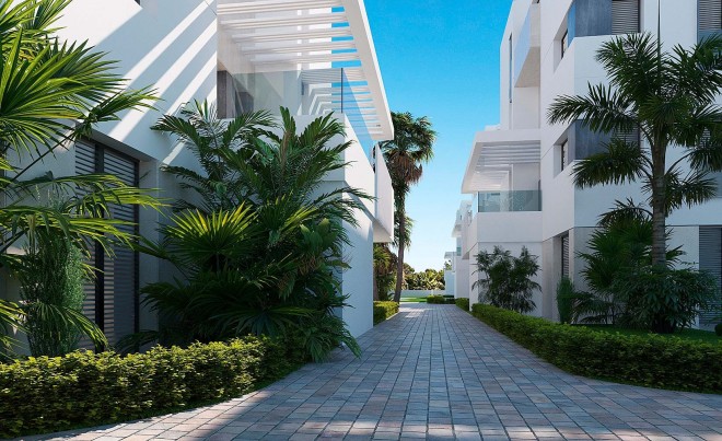 Nouvelle construction · Penthouse · Torre Pacheco · Santa Rosalía