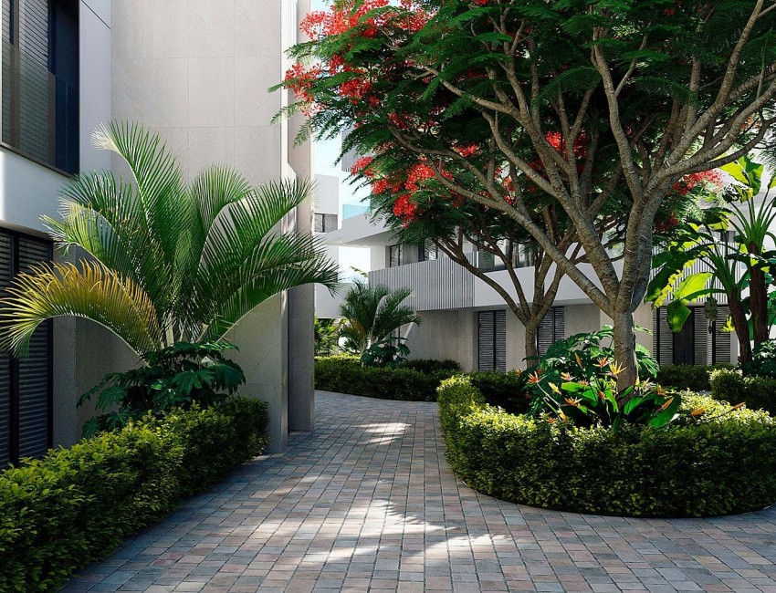 Nouvelle construction · Penthouse · Torre Pacheco · Santa Rosalía