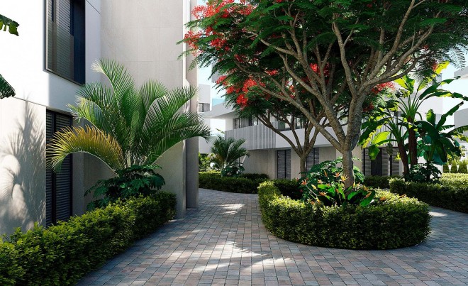 Nouvelle construction · Penthouse · Torre Pacheco · Santa Rosalía