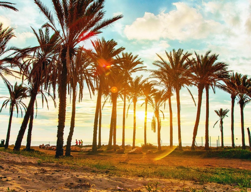 Revente · Penthouse · Orihuela Costa · Punta Prima