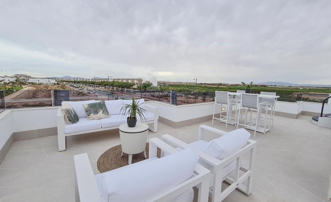 Nouvelle construction · Villa · Torre Pacheco · Santa Rosalía