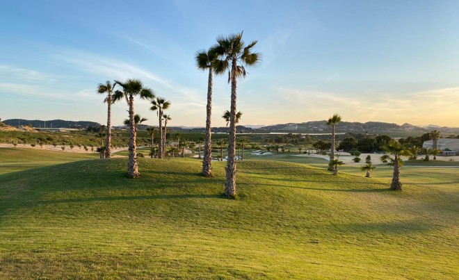Nueva construcción  · Villa / Chalet · Los Montesinos · Vistabella Golf